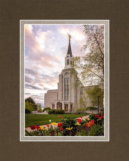 Boston Temple Spring Tulips