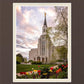 Boston Temple Spring Tulips