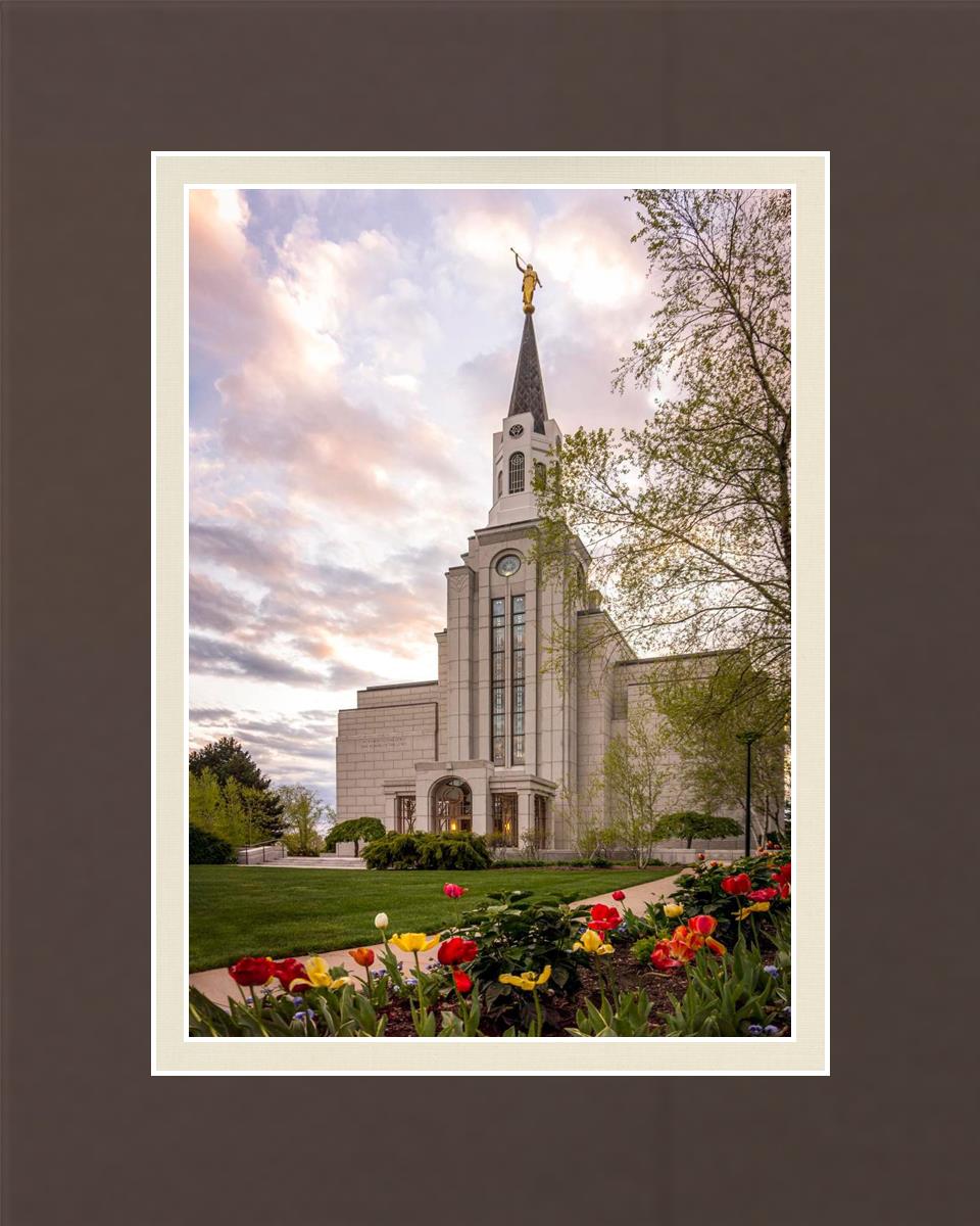 Boston Temple Spring Tulips