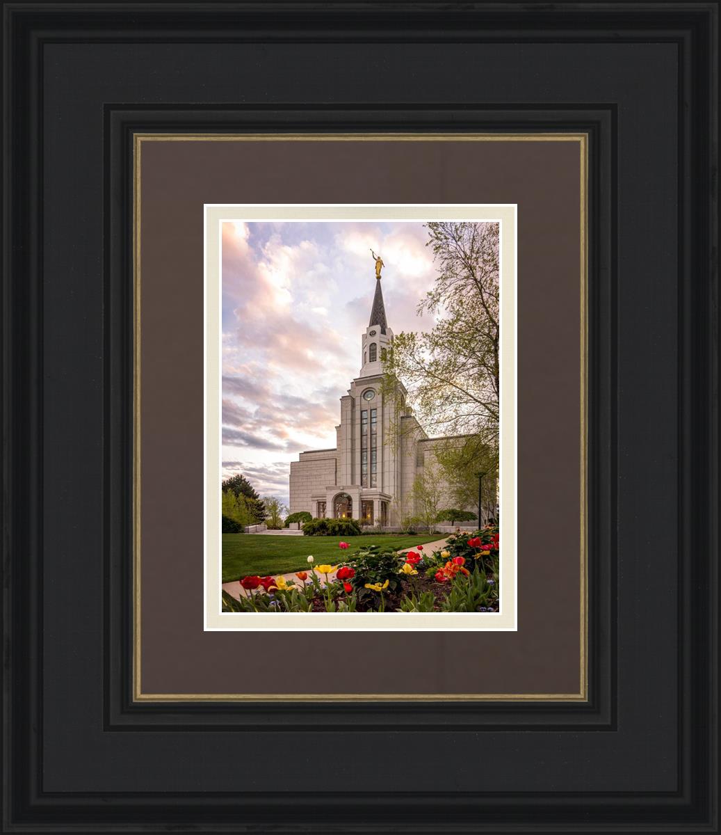Boston Temple Spring Tulips