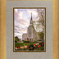 Boston Temple Spring Tulips