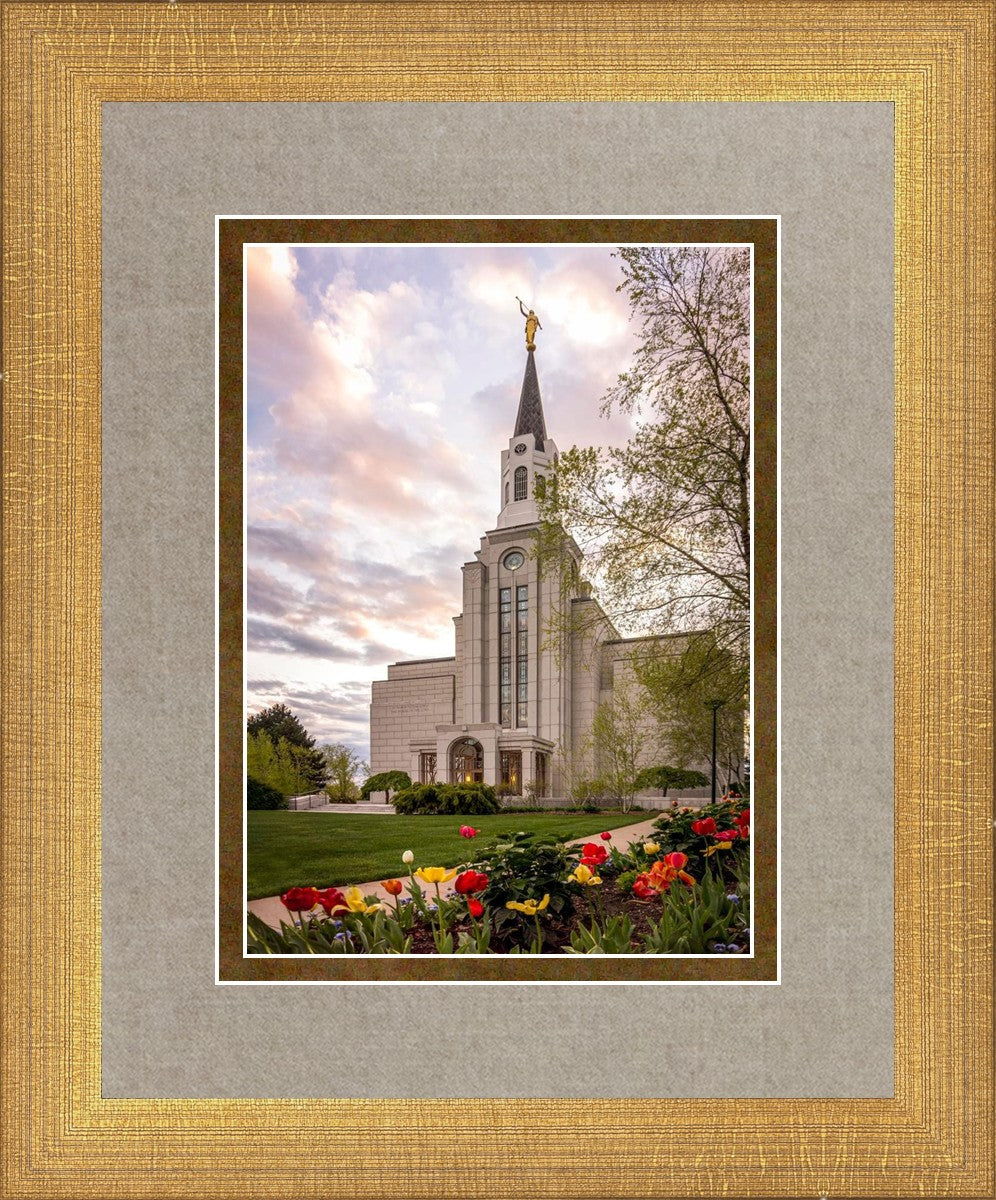 Boston Temple Spring Tulips