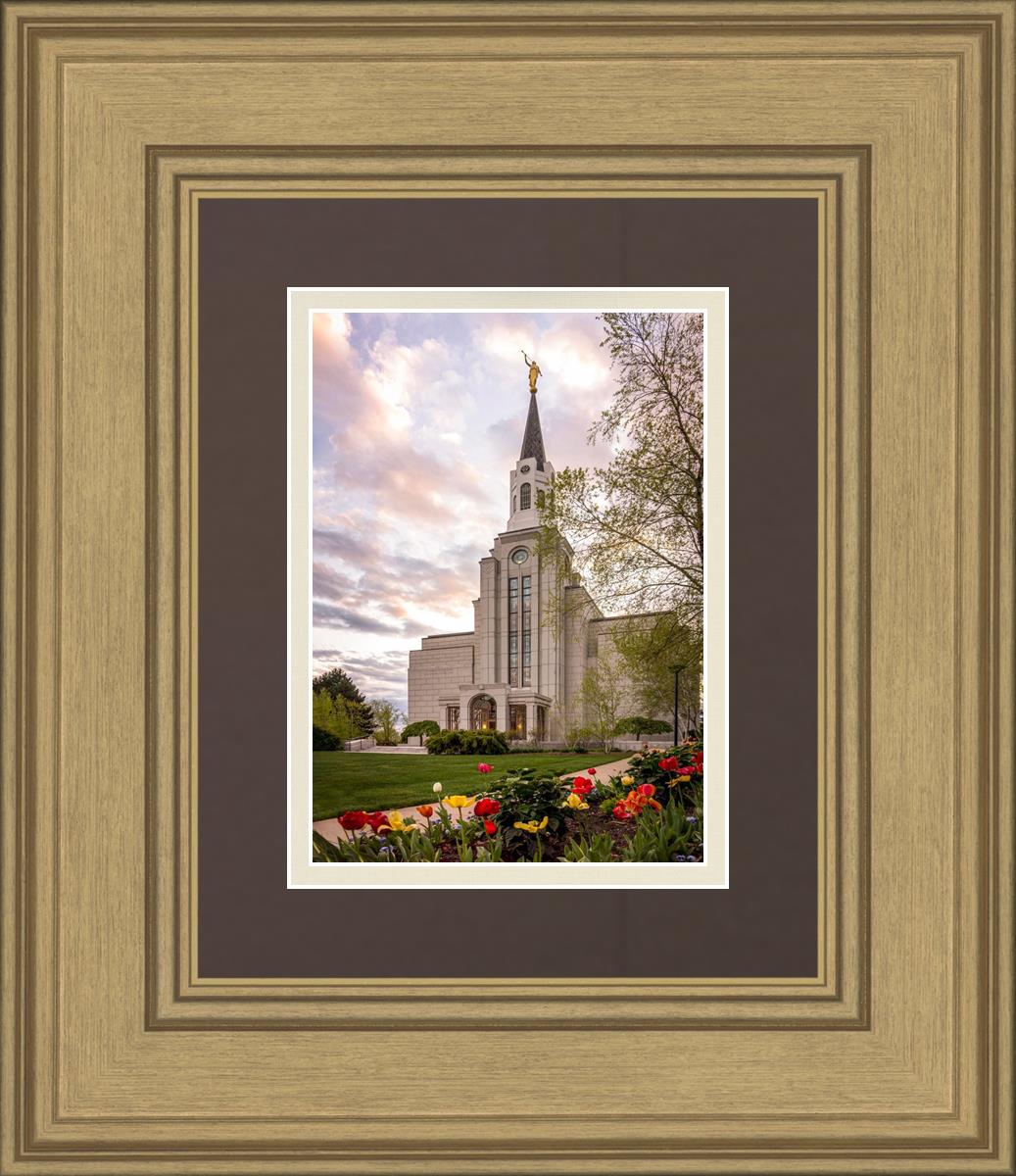 Boston Temple Spring Tulips