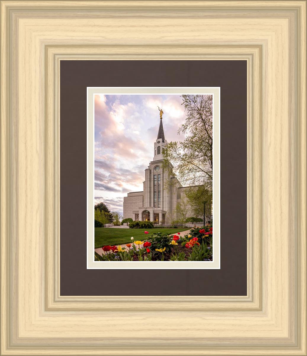 Boston Temple Spring Tulips