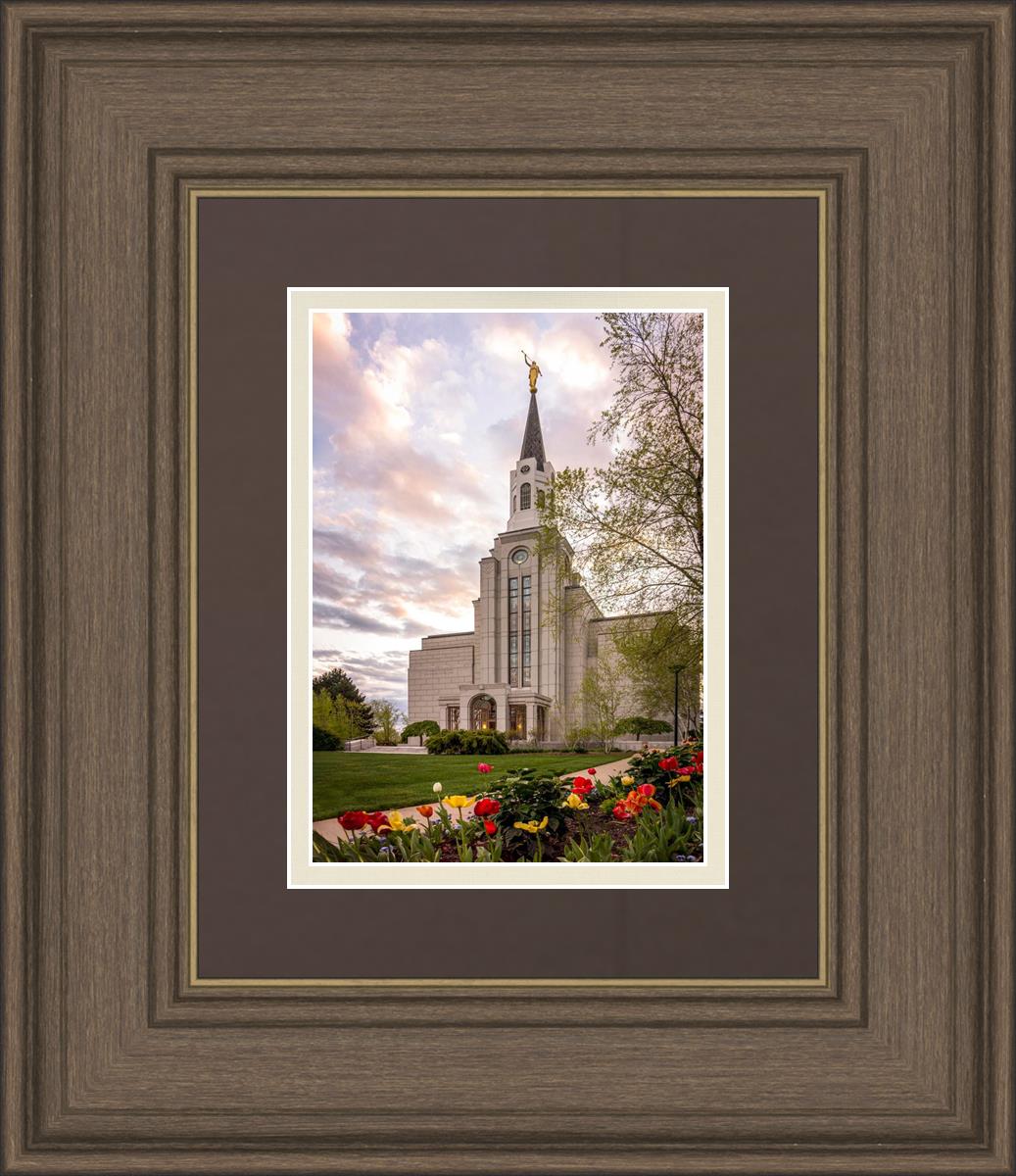 Boston Temple Spring Tulips