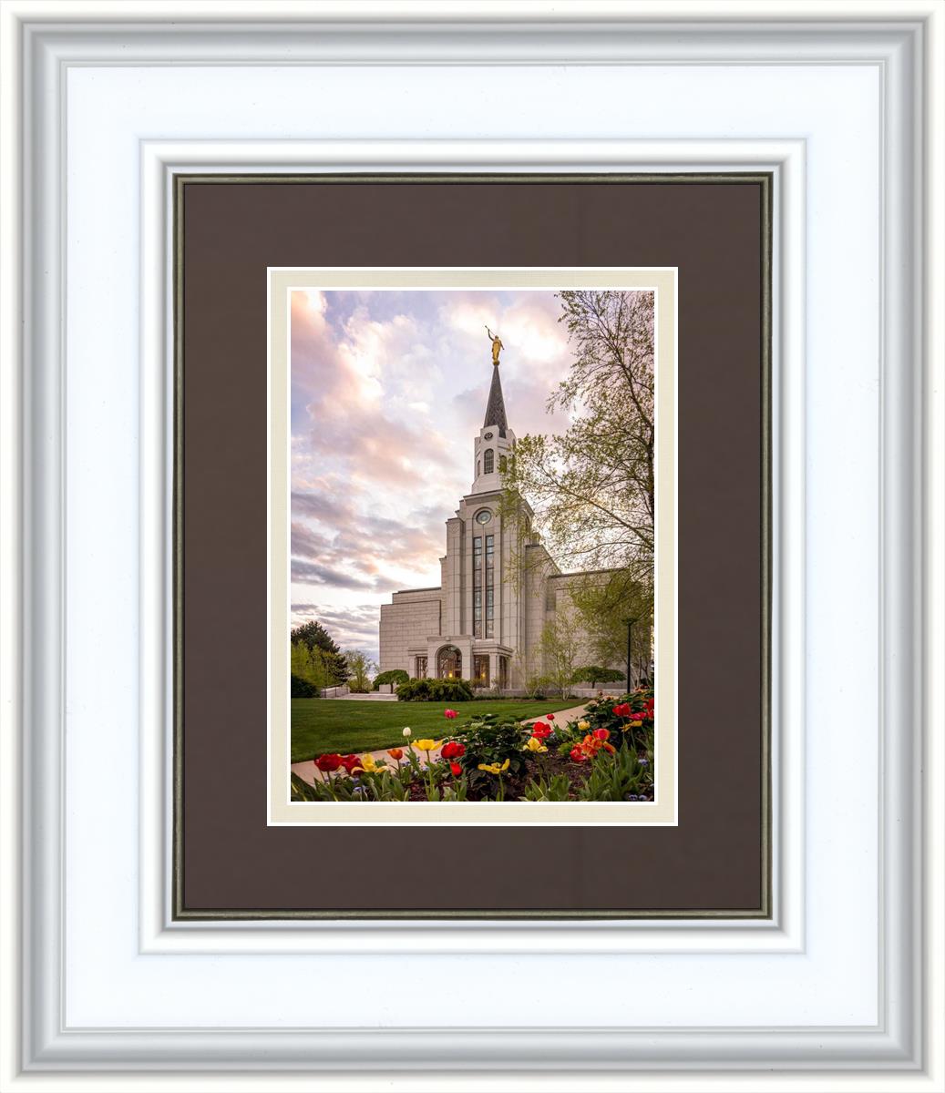 Boston Temple Spring Tulips