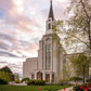 Boston Temple Spring Tulips