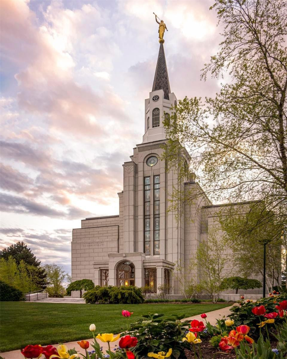 Boston Temple Spring Tulips Gallery Wrap