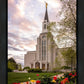 Boston Temple Spring Tulips