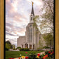 Boston Temple Spring Tulips