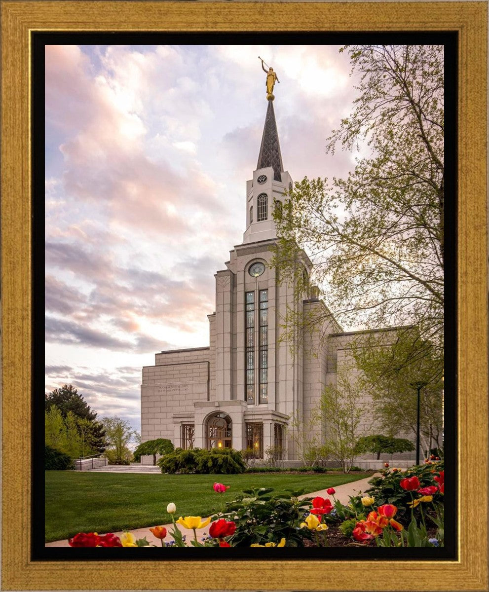 Boston Temple Spring Tulips Gallery Wrap