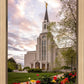 Boston Temple Spring Tulips