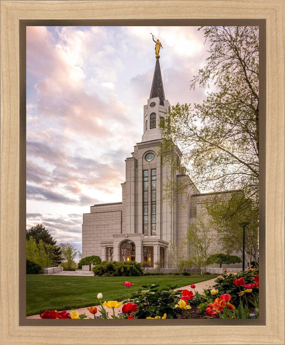 Boston Temple Spring Tulips Gallery Wrap
