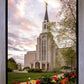 Boston Temple Spring Tulips