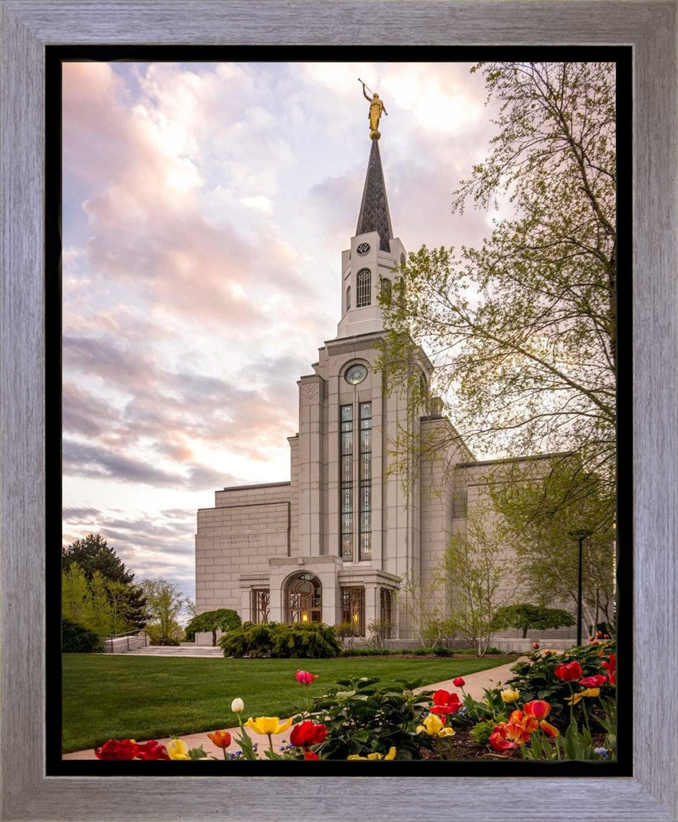 Boston Temple Spring Tulips Gallery Wrap