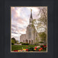Boston Temple Spring Tulips