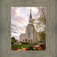 Boston Temple Spring Tulips