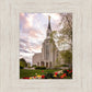 Boston Temple Spring Tulips