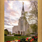 Boston Temple Spring Tulips