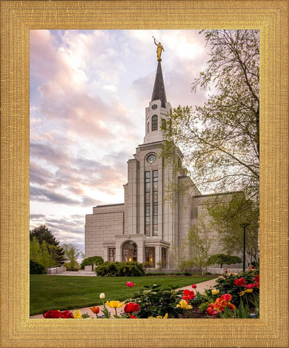 Boston Temple Spring Tulips