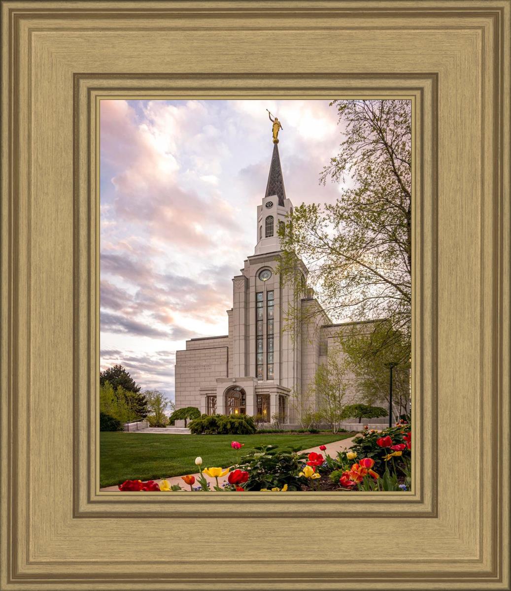 Boston Temple Spring Tulips