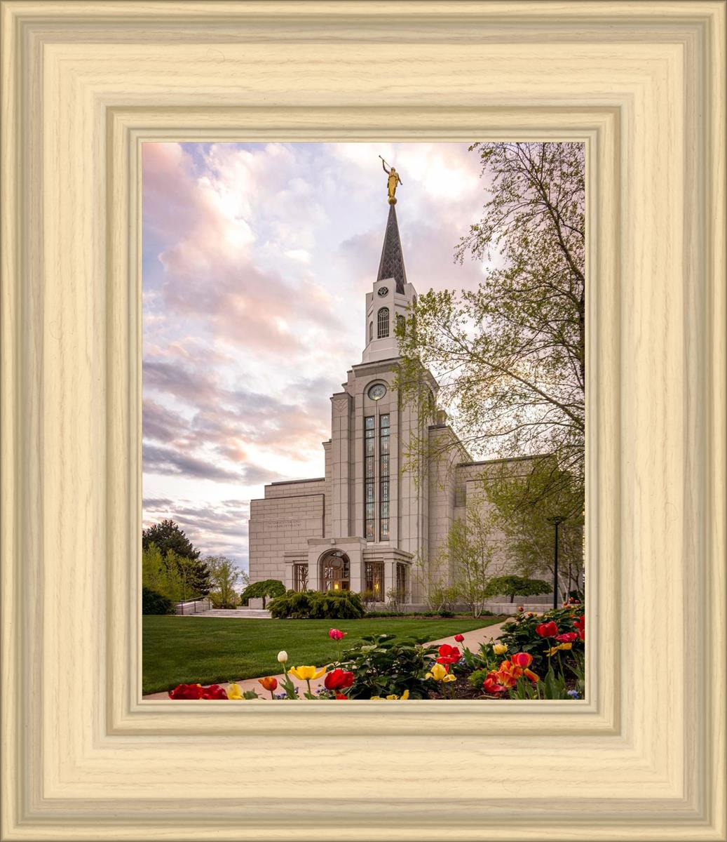 Boston Temple Spring Tulips