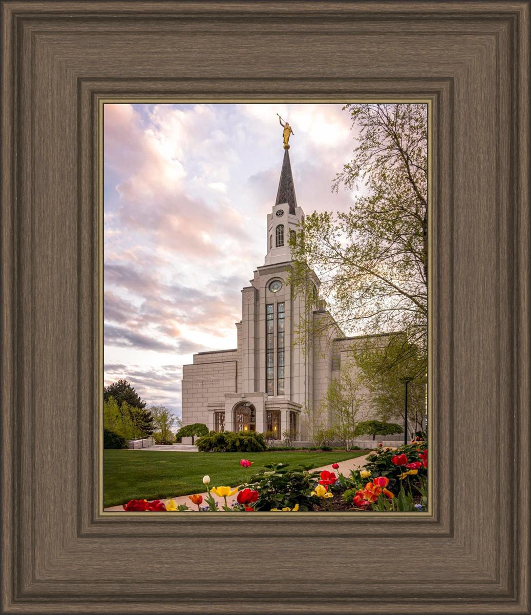 Boston Temple Spring Tulips