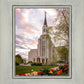 Boston Temple Spring Tulips