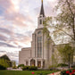 Boston Temple Spring Tulips