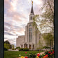 Boston Temple Spring Tulips