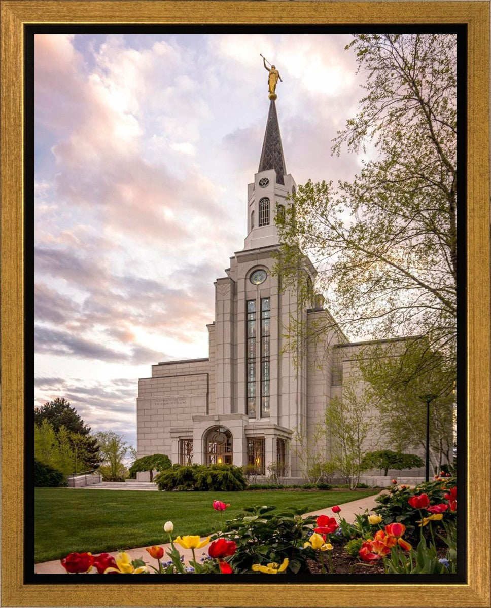 Boston Temple Spring Tulips Gallery Wrap