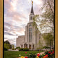 Boston Temple Spring Tulips