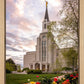 Boston Temple Spring Tulips