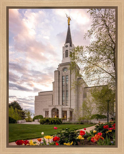Boston Temple Spring Tulips