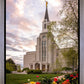 Boston Temple Spring Tulips