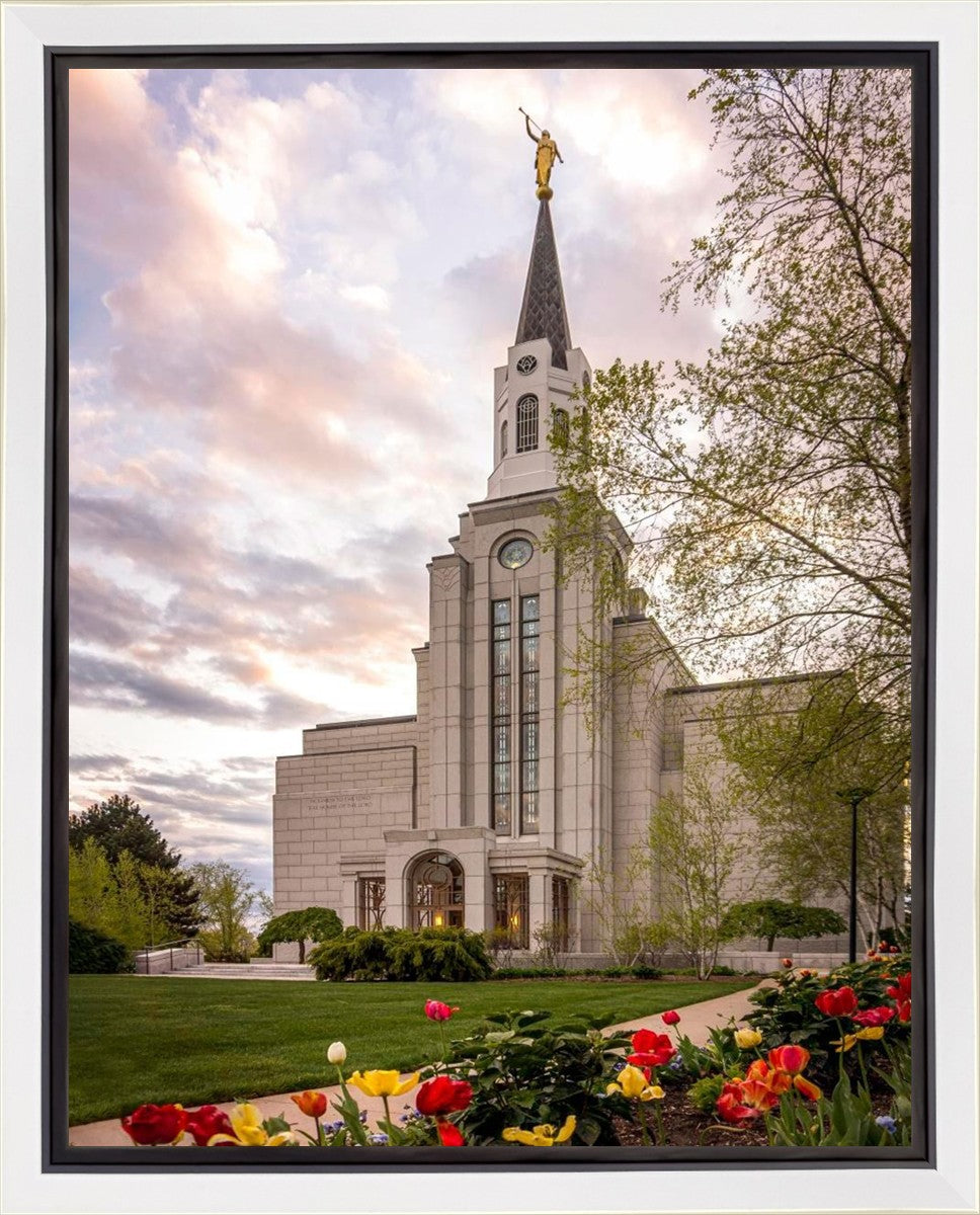 Boston Temple Spring Tulips Gallery Wrap