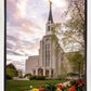 Boston Temple Spring Tulips