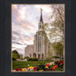 Boston Temple Spring Tulips
