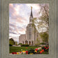 Boston Temple Spring Tulips