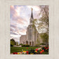 Boston Temple Spring Tulips