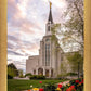 Boston Temple Spring Tulips