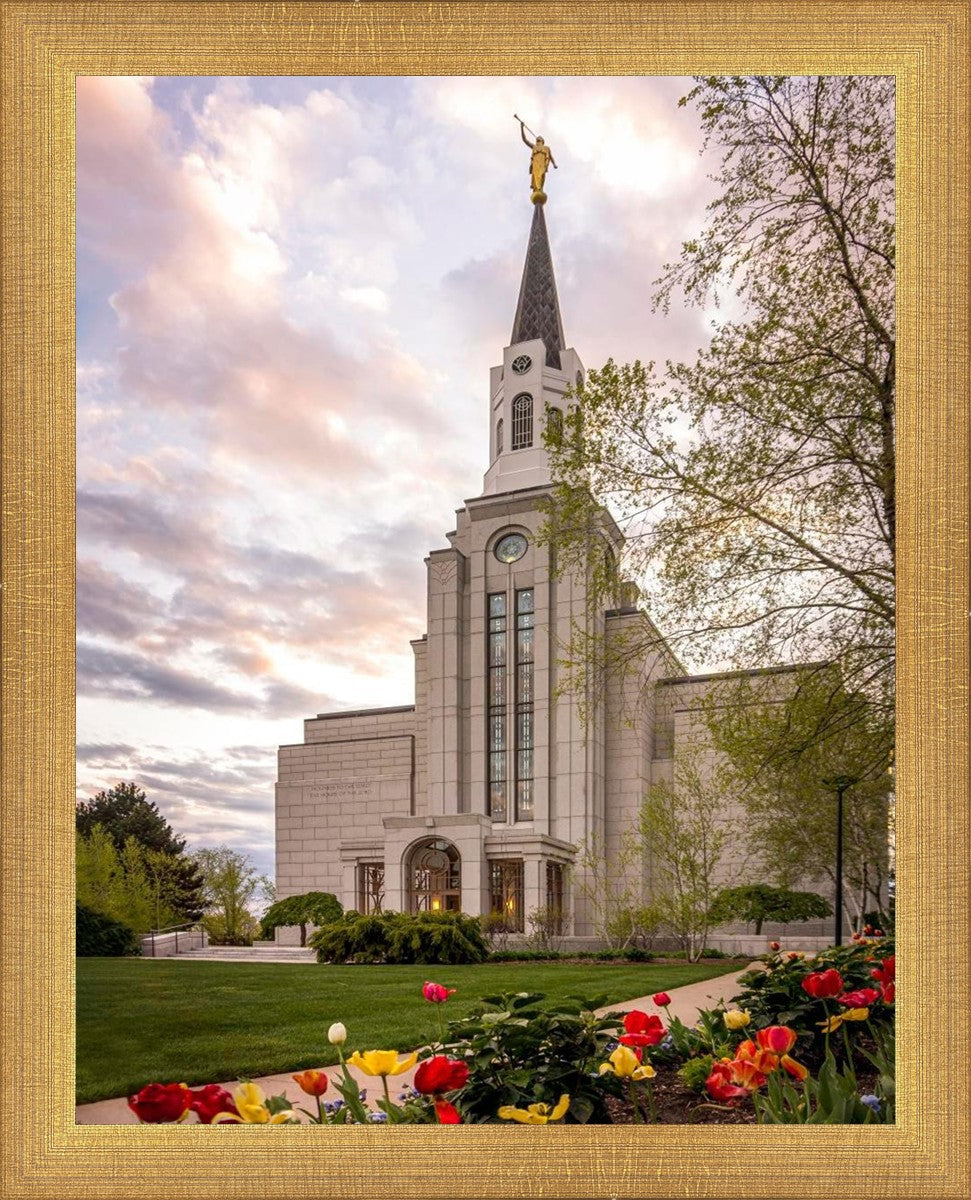 Boston Temple Spring Tulips