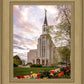 Boston Temple Spring Tulips