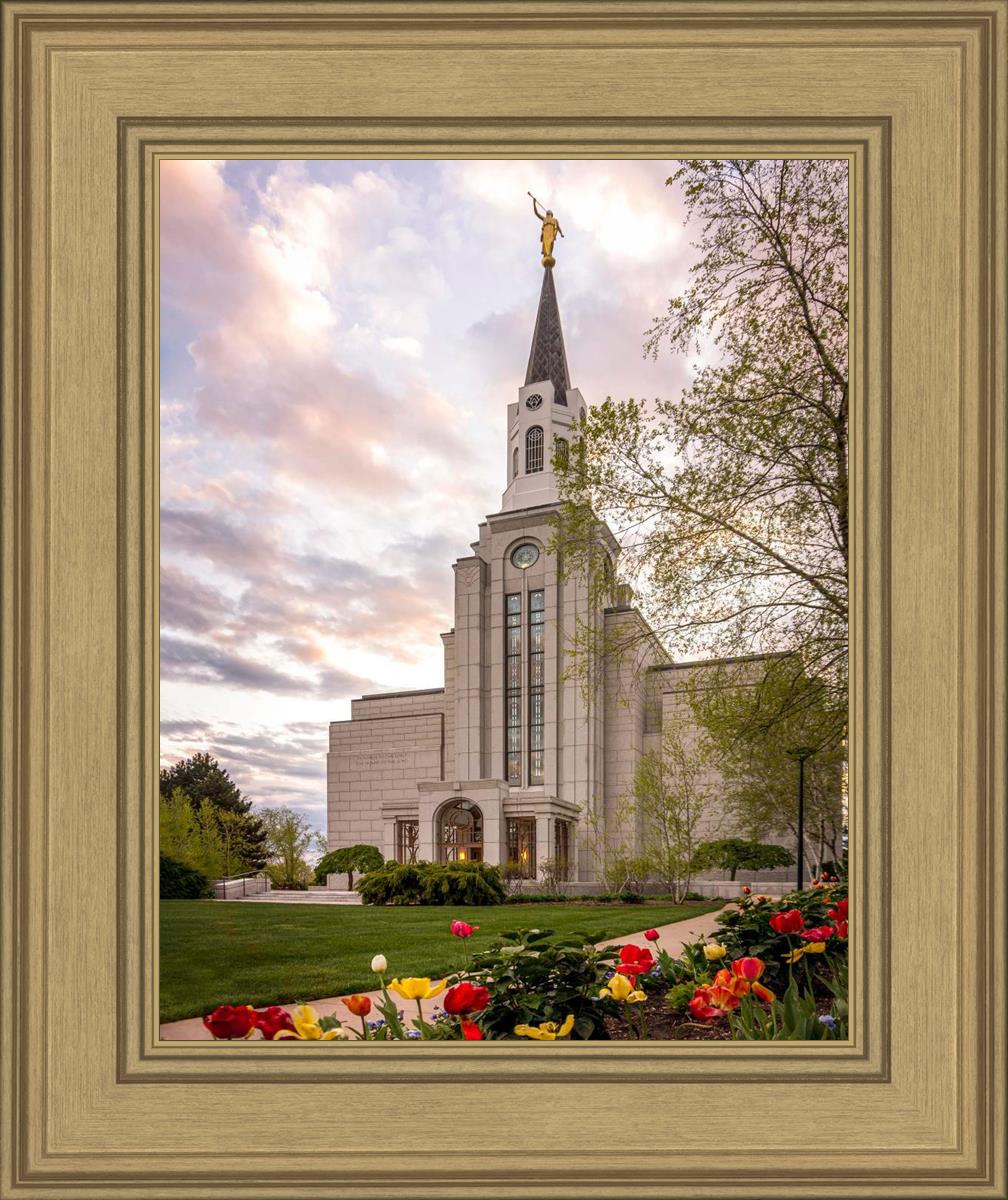 Boston Temple Spring Tulips