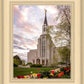 Boston Temple Spring Tulips