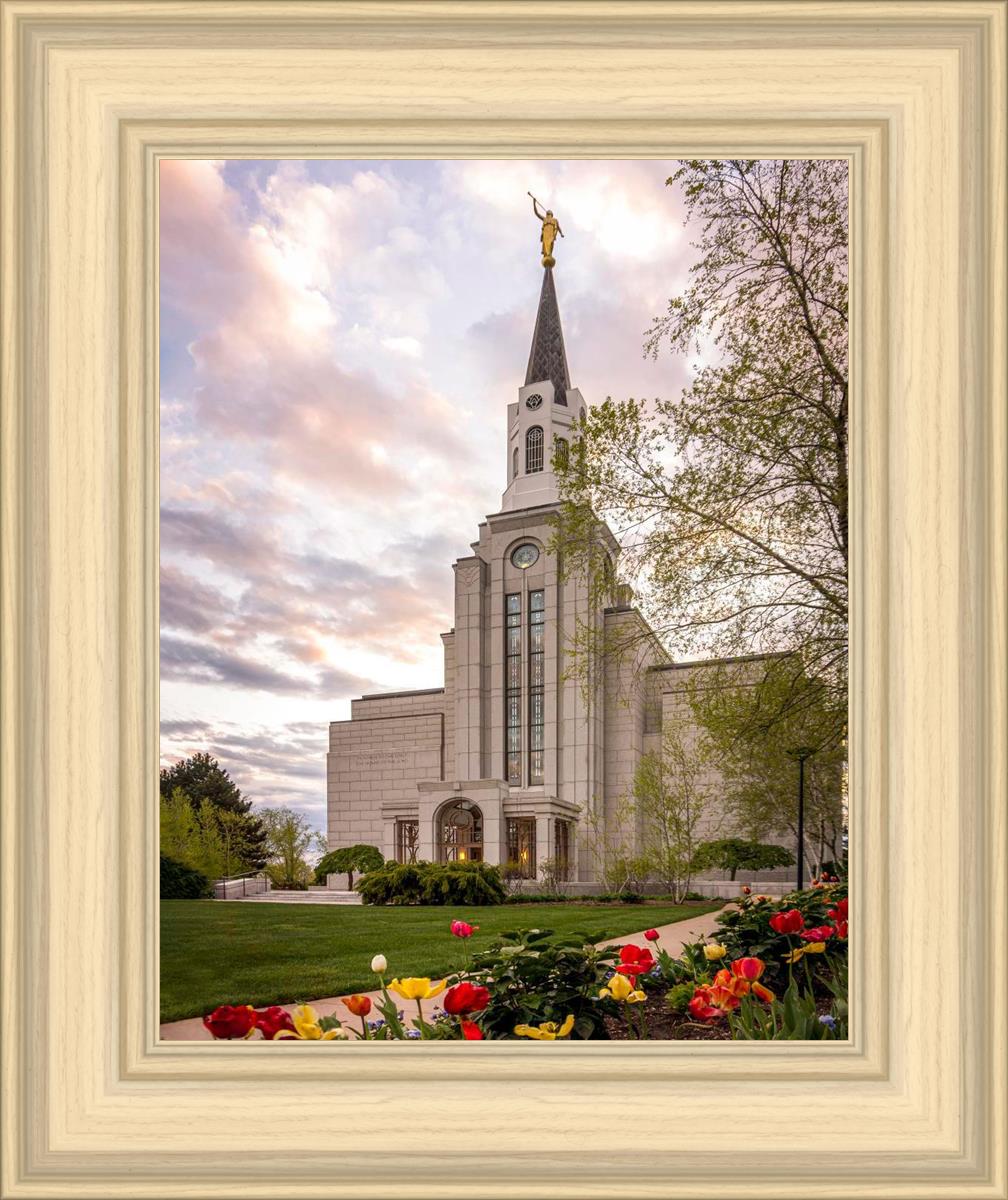 Boston Temple Spring Tulips