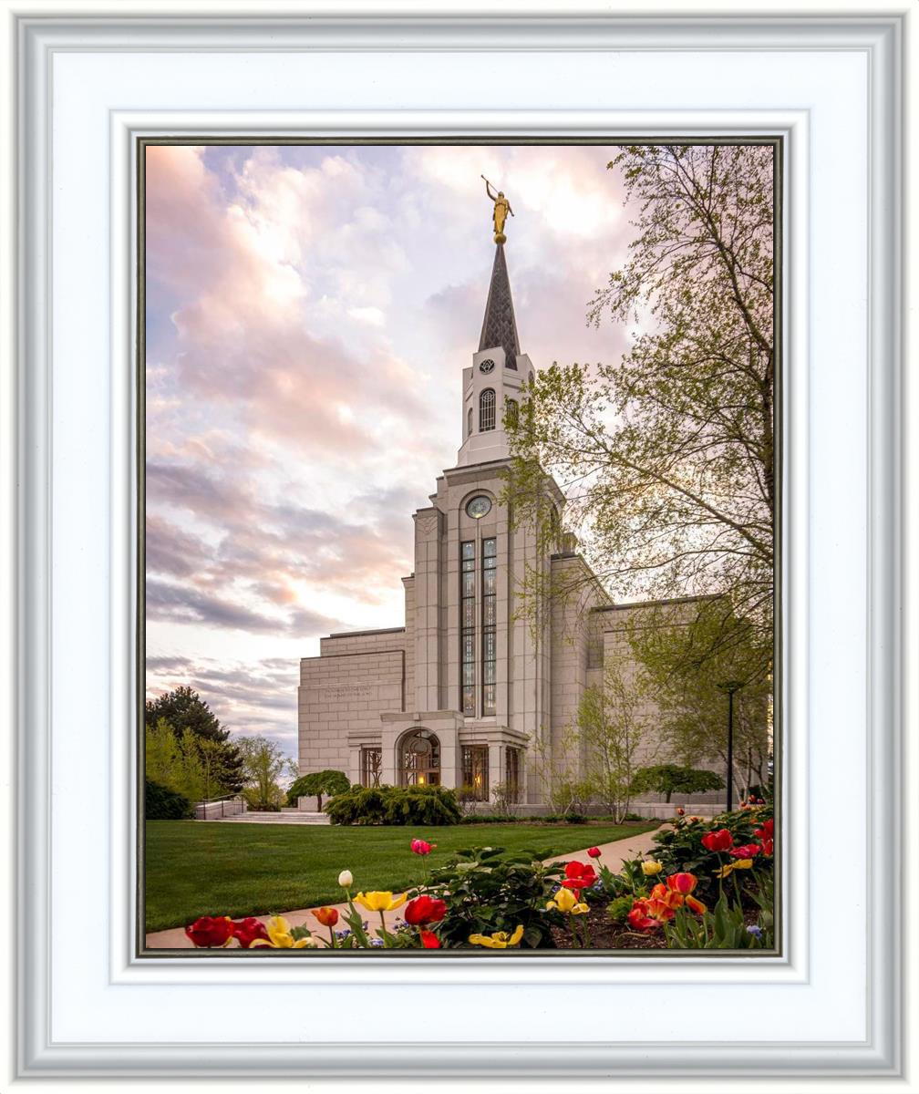 Boston Temple Spring Tulips
