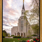 Boston Temple Spring Tulips