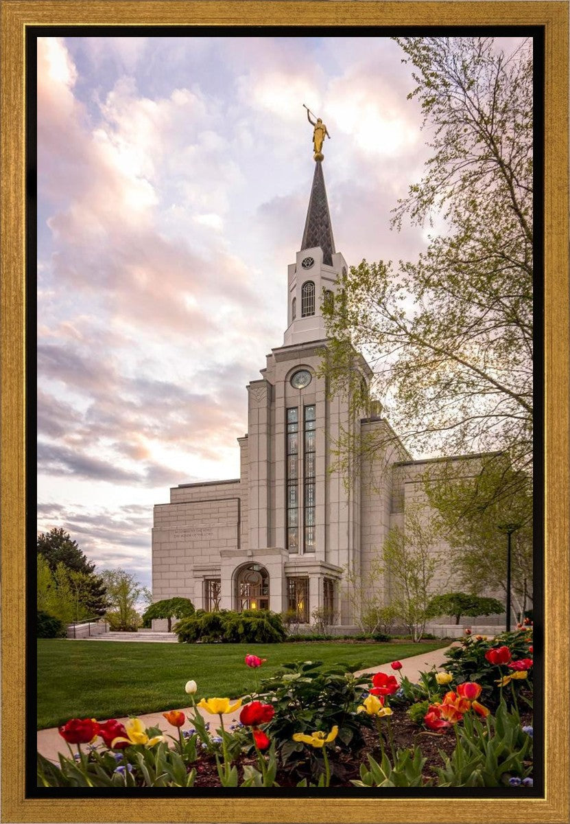 Boston Temple Spring Tulips Gallery Wrap