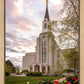 Boston Temple Spring Tulips